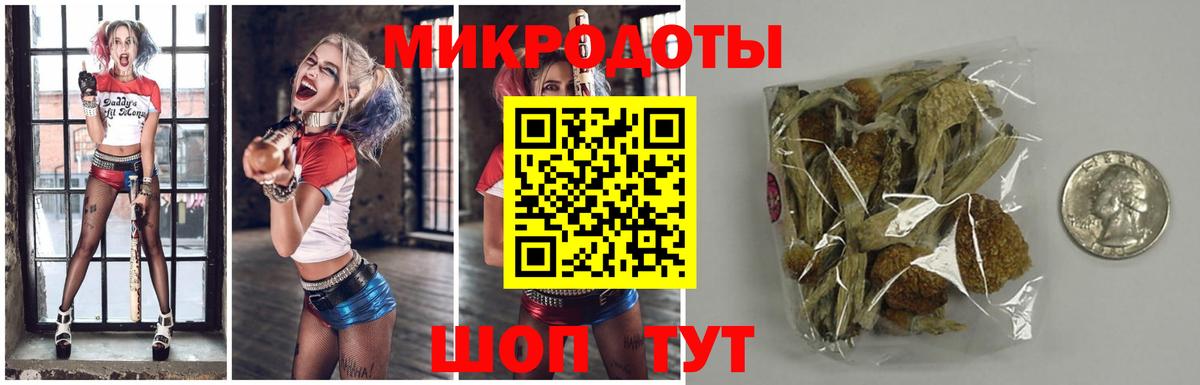 Псилоцибиновые грибы Psilocybine cubensis  Вход с VPN  Волгодонск  Галлюциногенные грибы Psilocybine cubensis 